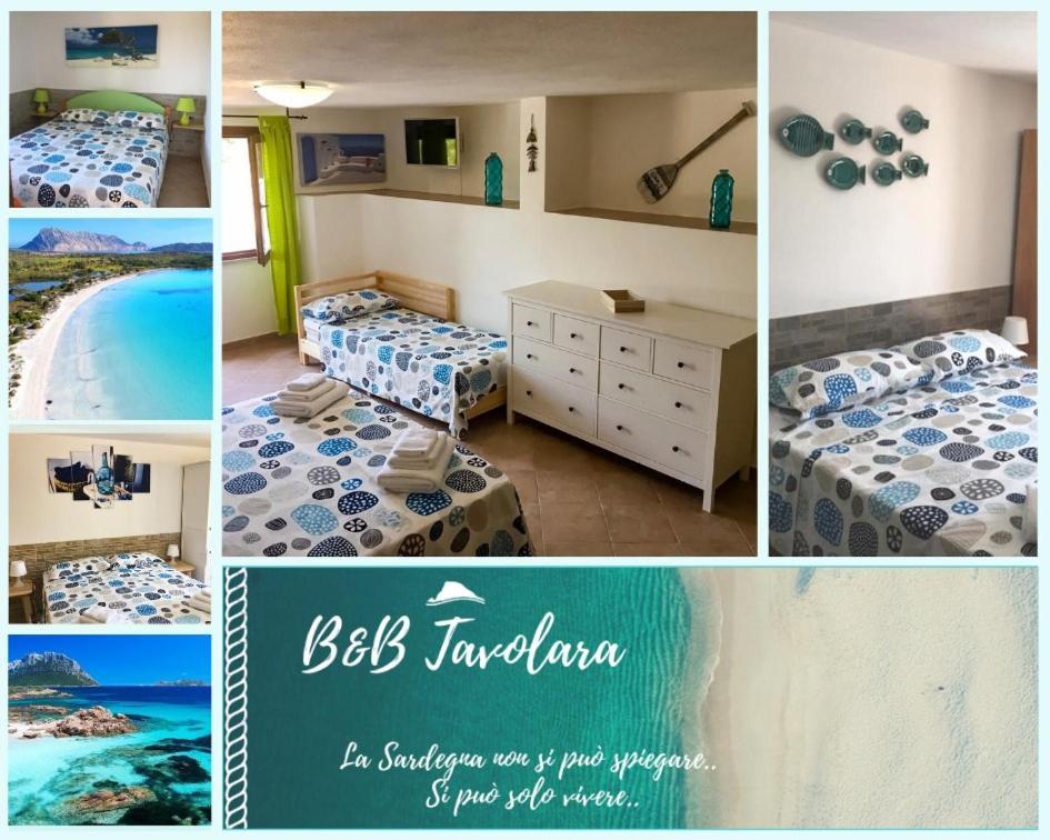B&B Tavolara Puntaldia Eksteriør bilde