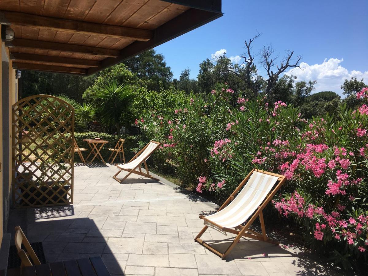 B&B Tavolara Puntaldia Eksteriør bilde